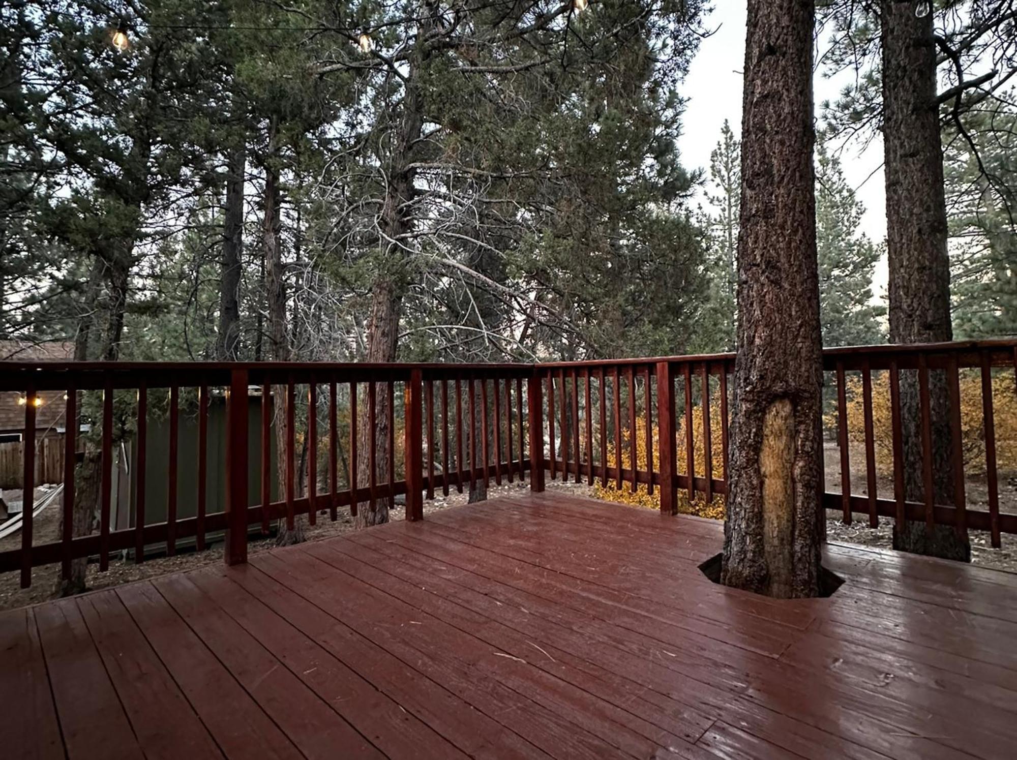 Bear Nest - 2 Bedrooms 1 Bath Fireplace Bbq Deck Adjacent To National Forest Sugarloaf 外观 照片